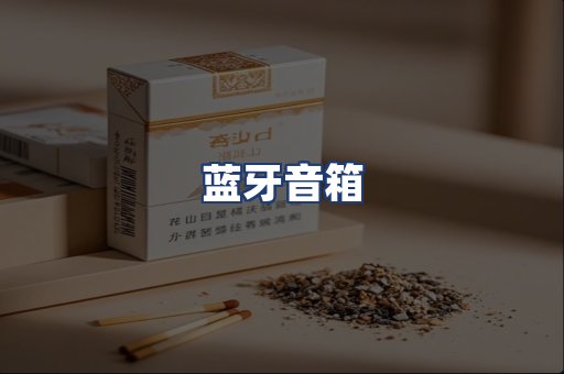 蓝牙音箱