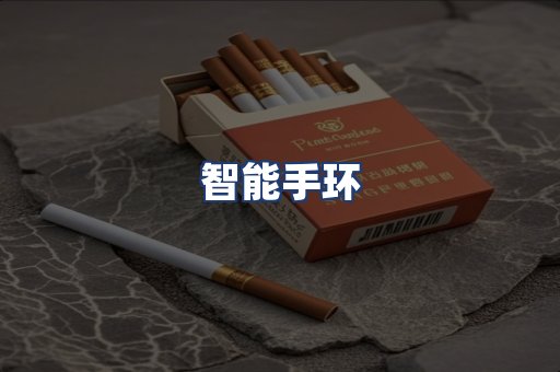智能手环